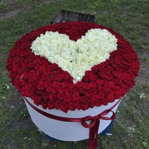 Композиция в коробке из 501 розы