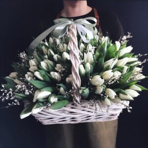 Корзина из 101 тюльпана с дженистой