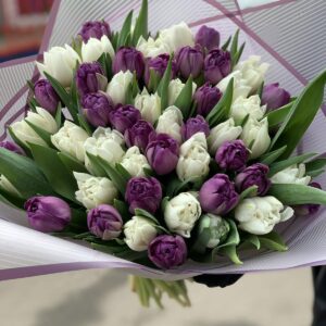 Букет из 51 пионовидного белого и фиолетового тюльпана