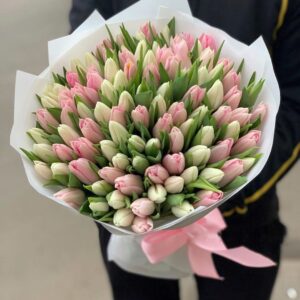 Букет из 101 белого и нежно-розового тюльпана