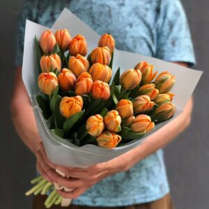 Букет из 25 пионовидных оранжевых тюльпанов