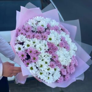 Букет из 21 ветки белой и нежно-розовой хризантемы