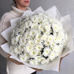 Букет из 25 белой хризантемы Зембла