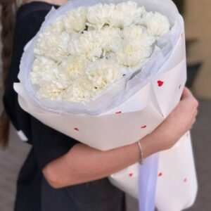 Букет из 19 белого диантуса