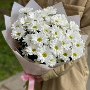 Доствка цветов Харьков, хризантема