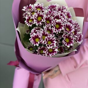 Букет из 5 веток двухцветной хризантемы