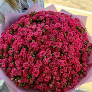 101 розовая кустовая роза, Доставка цветов Харьков, цветы Харьков, розы Харьков, купить букет Харьков, пионы Харьков, 101 Роза Харьков, пионовидная Роза Харьков, букет микс Харьков, 51 роза Харьков, тюльпаны Харьков