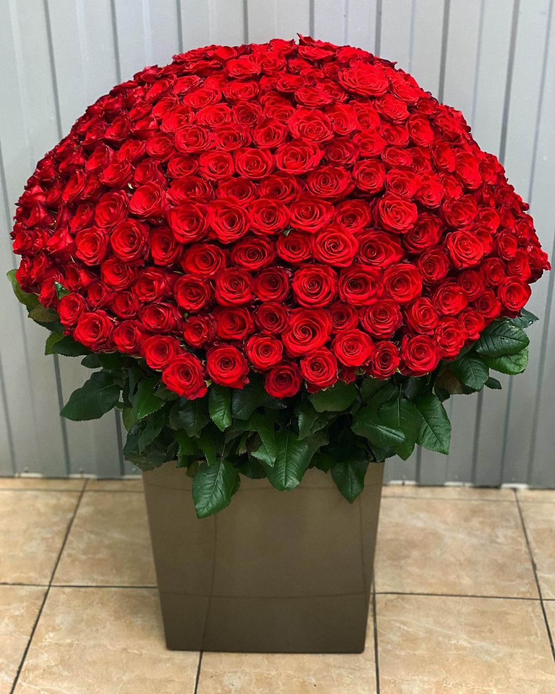 Букет из 333 красных роз Гран При 80 см - Floricrystal