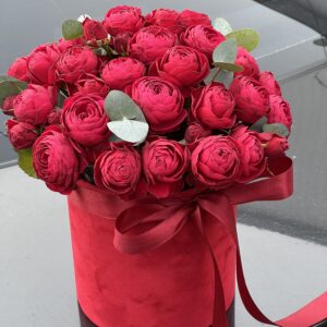 Пионовидная роза в коробке, доставка цветов Харьков