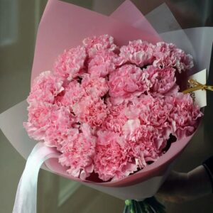 19 розовых диантусов
