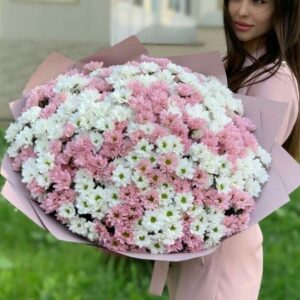 Букет из 51 ветки белой и нежно-розовой хризантемы Ромашка